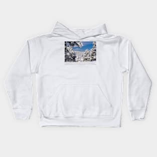 The Window into the Winter Kids Hoodie